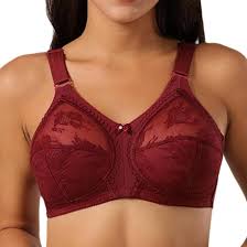 The Ultimate Comfort Non-Wired Bra – Doreen Collection